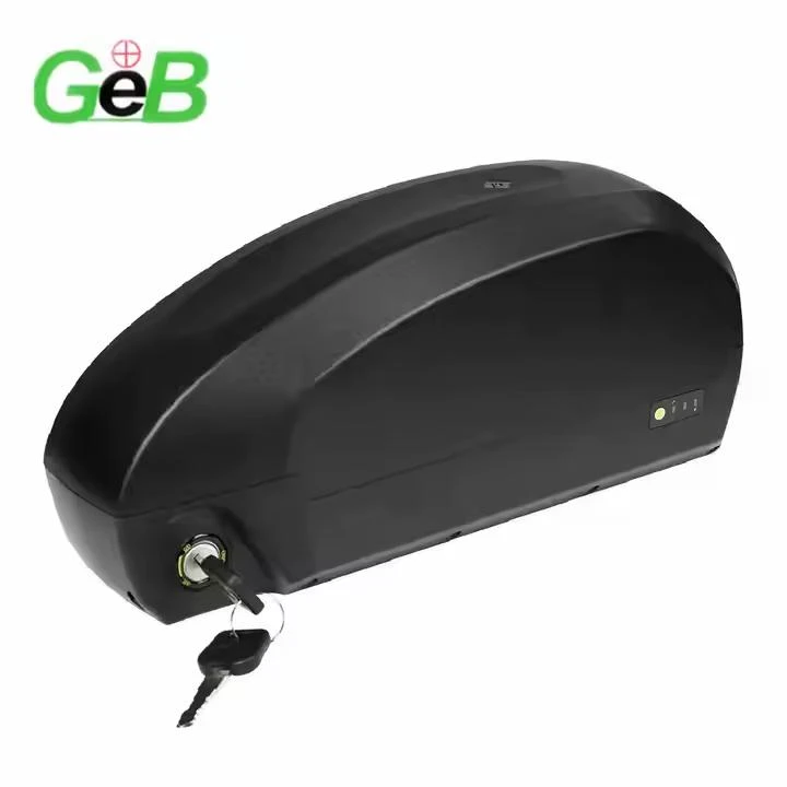 Batteria Ebike da 48 V 60Ah