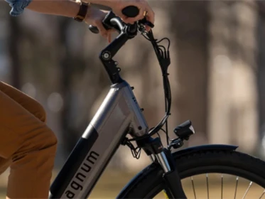 Posso mettere una batteria da 48 V su un'ebike da 36 V
