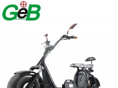 Analisi della struttura dei costi di e - batterie per bici