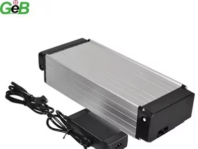 -Ricarica rapida vs. Batterie standard: impatto sulle bici elettriche-
