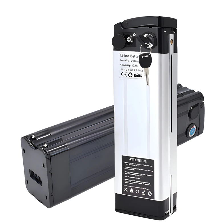 Batteria Silverfish 48v
